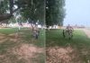 policial-militar-joga-futebol-com-criancas-durante-patrulhamento-no-to;-video