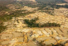 Garimpo ilegal supera cocaína como crime mais lucrativo na Amazônia garimpo-ilegal-supera-cocaina-como-crime-mais-lucrativo-na-amazonia