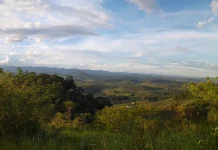 Áreas de vegetação nativa no Brasil ficaram menores e mais isoladas areas-de-vegetacao-nativa-no-brasil-ficaram-menores-e-mais-isoladas
