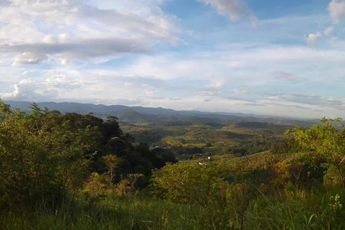 areas-de-vegetacao-nativa-no-brasil-ficaram-menores-e-mais-isoladas