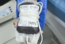 Novas regras do Ministério da Saúde aumentam possibilidades de doação novas-regras-do-ministerio-da-saude-aumentam-possibilidades-de-doacao