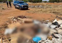 Suspeito de matar e esquartejar homem é preso em Palmas suspeito-de-matar-e-esquartejar-homem-e-preso-em-palmas